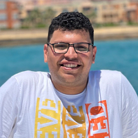 Mohamed Kamel