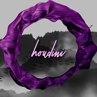 Houdini Interactive