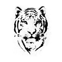 Bonsai Tiger