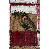 Cheryl Gross