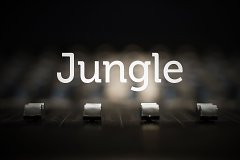 Jungle Studios