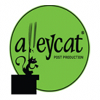 ALLEYCAT LLC