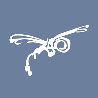 Dragonfly Video Productions