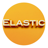 Elastic Studio