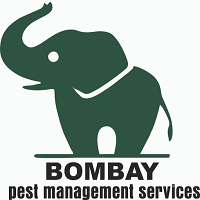 Bombay Pest