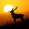 Vijay Kanth