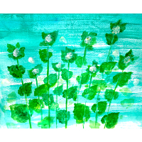 Noriko Sheppard